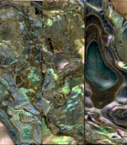Abalone Heart Violin Slide
