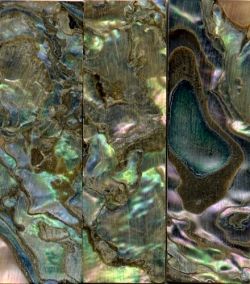 Abalone Heart Violin Slide