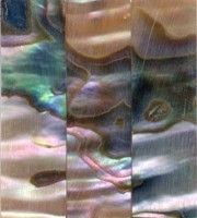 Abalone Cello Slide well flmed
