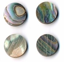 Abalone Eye