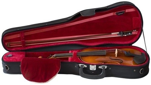 S. Eastman Violin Outfit, 4/4