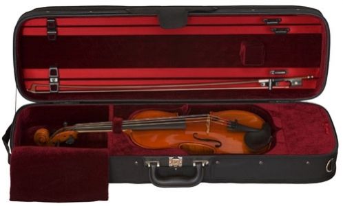 S. Eastman Violin Outfit, 4/4