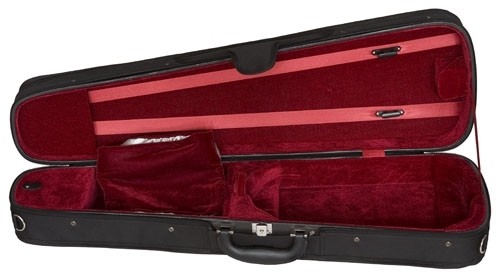 Eastman Dart Case, 4/4