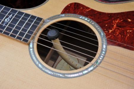 Humitron for Guitar