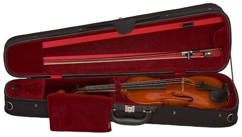 S. Eastman Violin Outfit, VL100