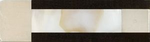 Brasilwood Violin Bow