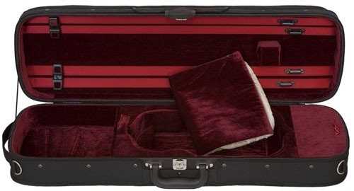 Eastman Hill style case, burgundy.jpg