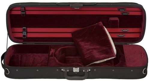 Eastman Hill style case, burgundy.jpg