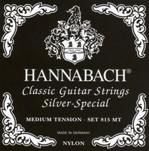 8string.jpeg