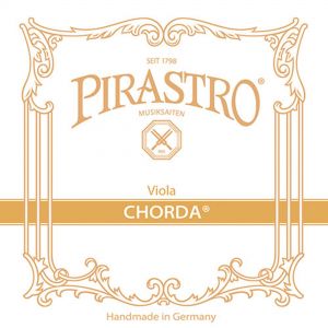 chorda.jpg
