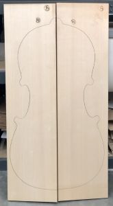 Bachmann MF Master Cello Top, 2021, PICK 5056
