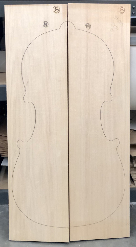 Bachmann MF Master Cello Top, 2021, PICK 5056