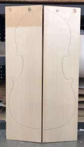 Bachmann MF Master Cello Top, 2021, PICK 7028