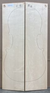 Bachmann HMF Hazel Master Cello Top, 2018, PICK 9064