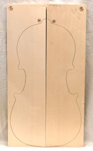 Bachmann MF Master Cello Top, 2024, PICK 9024