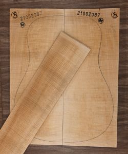 Acoustic Guitar Maple Back & Sides, Master